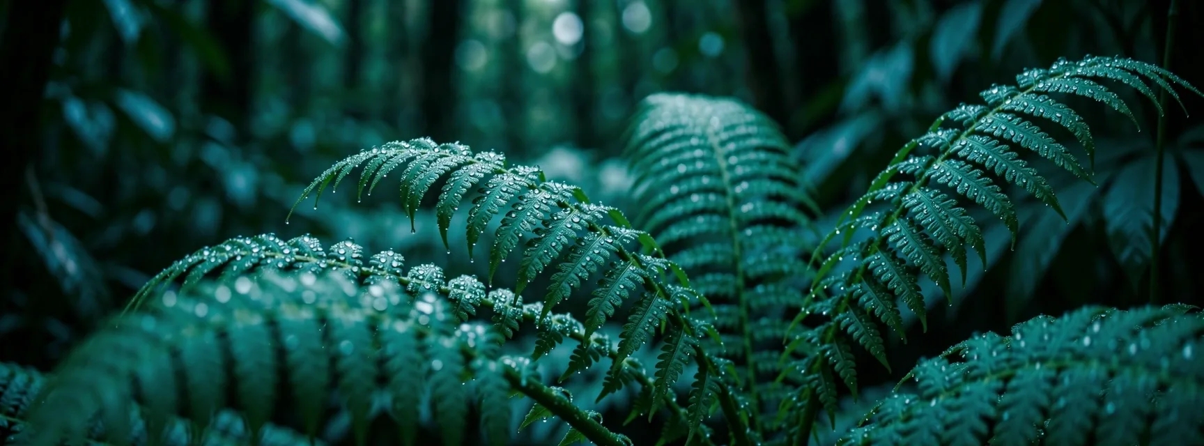 Background nature motif